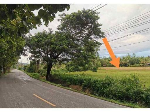 3 Rai Land for Sale Chiang Mai, San Pa Pao - Only 11,000 B/sq Wah.