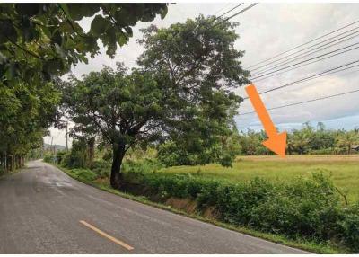 Explore your dream of owning land in Chiang Mai, San Pa Pao. This 3 Rai, 2 Ngan property on Road 3012 is a golden opportunity at just 11,000 Baht per sq wah.