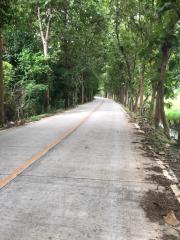 Discover this prime plot of land for sale in Chiang Mai, 25 rai of lush beauty at just 2.5M baht/rai. Unbeatable access, perfect for your dream project.