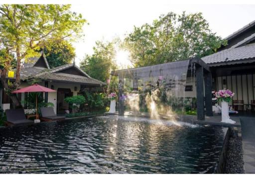 Invest in this thriving resort business in Chiang Mai with 2 Rai of land and 12 rooms. Don