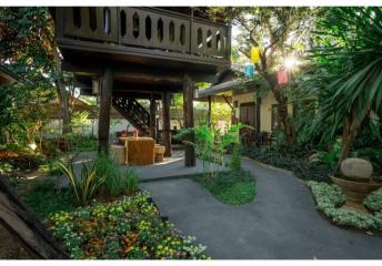 Invest in this thriving resort business in Chiang Mai with 2 Rai of land and 12 rooms. Don