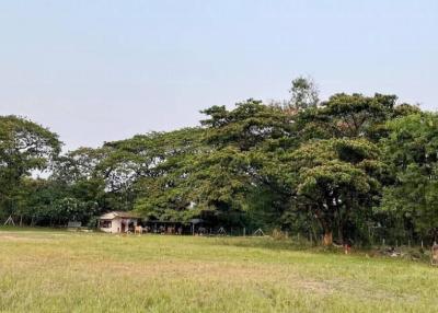 Explore this 11-0-70 Rai land in Type 4 Red Garuda, just 12km from Chiang Mai International Airport. Conveniently located near Central Chiang Mai, Act Now!