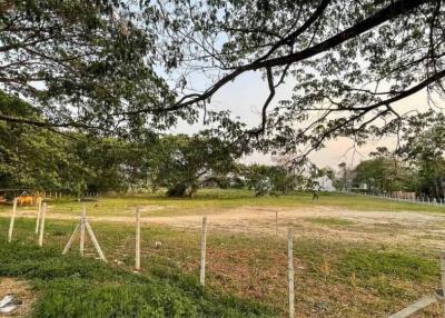 Explore this 11-0-70 Rai land in Type 4 Red Garuda, just 12km from Chiang Mai International Airport. Conveniently located near Central Chiang Mai, Act Now!