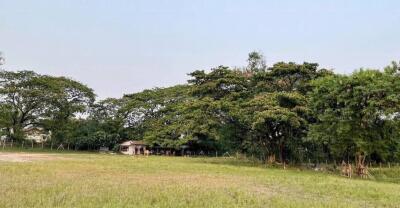 11-0-70 Rai Land for Sale in Chiang Mai - Prime Opportunity