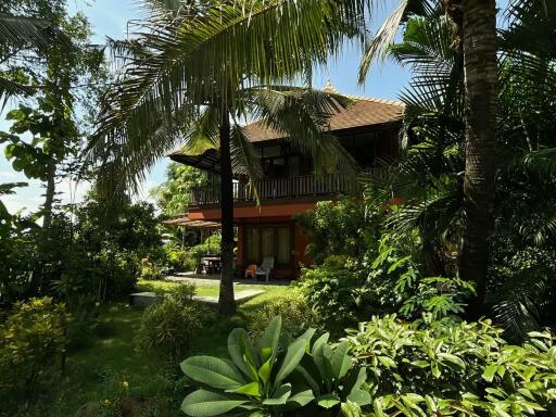 Resort for sale Chiang Mai, in Mae on  irresistible investment