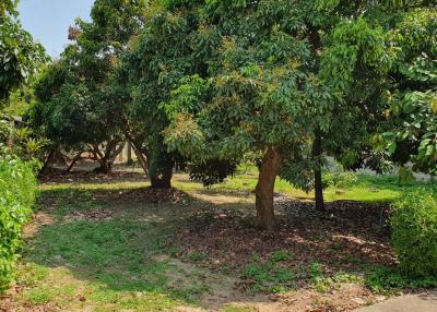Seize the opportunity to build your dream home on this tranquil plot of land in Don kaeo Saraphi, Chiang Mai. Private road, convenient amenities.
