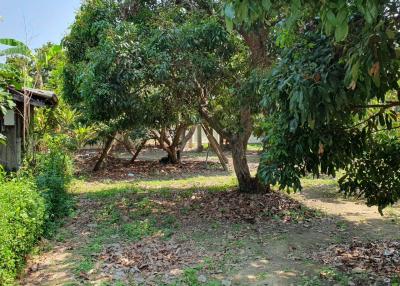 Seize the opportunity to build your dream home on this tranquil plot of land in Don kaeo Saraphi, Chiang Mai. Private road, convenient amenities.