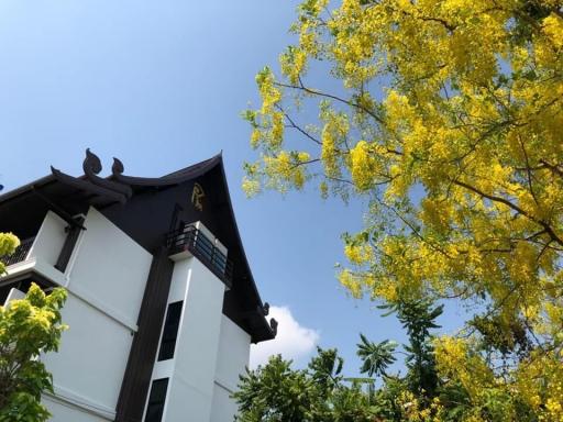 For sale luxury hotel in the heart of Chiang Mai city center This boutique hotel offers 20 exquisite rooms, state-of-the-art amenities, stunning city views.