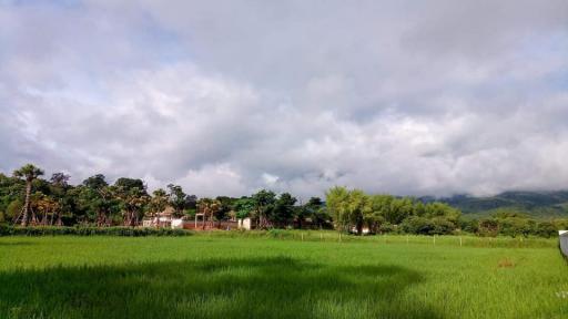 Escape city life to tranquil Mae Rim. 2 rai, 92 sq wah (3568m2) land for nature lovers. Unobstructed mountain views, privacy, and serenity.