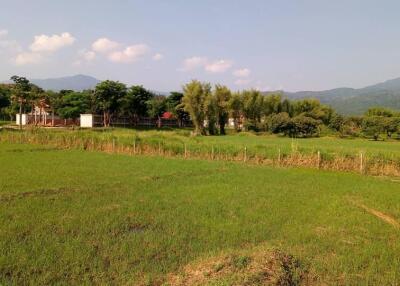 Tranquil Mae Rim Land for sale Chiang Mai  2 Rai, Mountain Views