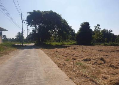 Discover your dream property in Chiang Mai! Four land plots for sale in scenic Nam Preah, Hang Dong District - ideal for home or business.
