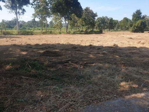 Discover your dream property in Chiang Mai! Four land plots for sale in scenic Nam Preah, Hang Dong District - ideal for home or business.