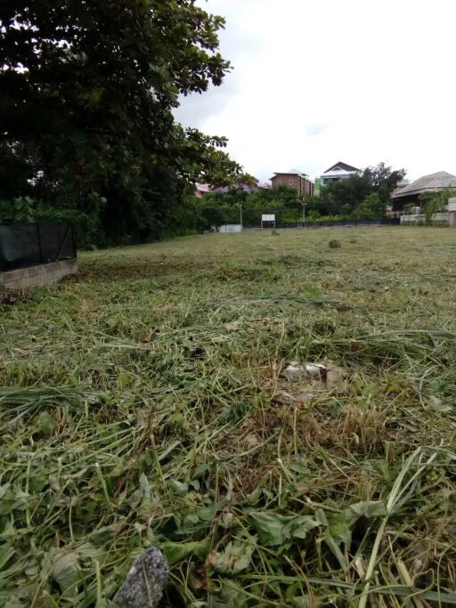 High potential block of land location Next to the main road. Good land for sale in centre of Chiang Mai city, Thailand. Great investment opportunity!