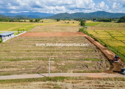 2 Rai of Land with Great Views for Sale in Pa Pong, Doi Saket, Chiang Mai