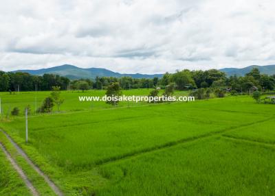 4+ Rai of Land with Mountain Views for Sale in Huai Sai, San Kamphaeng