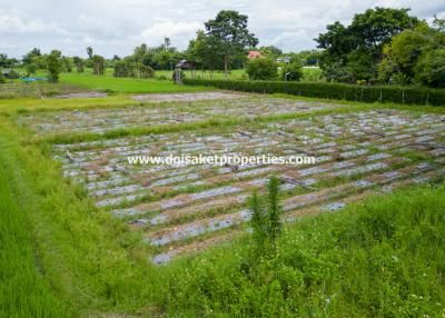 4+ Rai of Land with Mountain Views for Sale in Huai Sai, San Kamphaeng