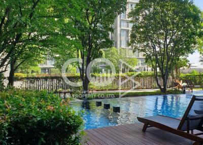 🔥🔥 IDEO Mobi Sukhumvit 81 Condo For Rent 30k and Sale 5.99m [TT4669]