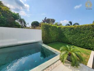 Swimming pool in a garden with a hedge and a potted plant