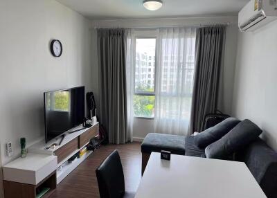 1 Bedroom Condo