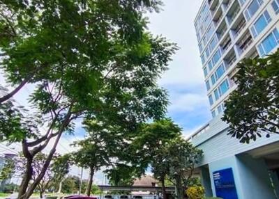 Condo for Sale at Convention Condo