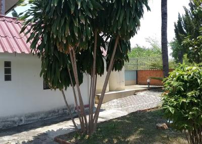 House for Rent in Nong Hoi, Mueang Chiang Mai.