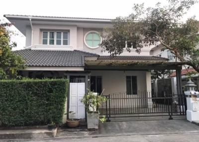 House for Rent in Nong Chom, San Sai.