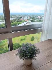 1 Bedroom Condo  for Rent at Supalai Monte II