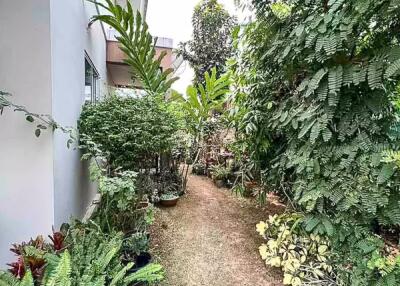 3 Bedroom House for Sale in San Pu Loei, Doi Saket. - DS13653