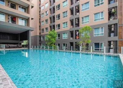 Condo for Rent at Regent Home Sukhumvit 97/1