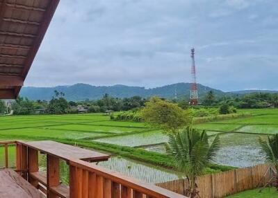 Wooden House in Mae Taeng