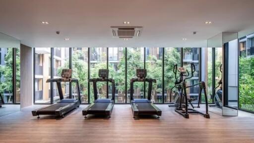 Condo for Rent at Noble Ambience Sukhumvit 42