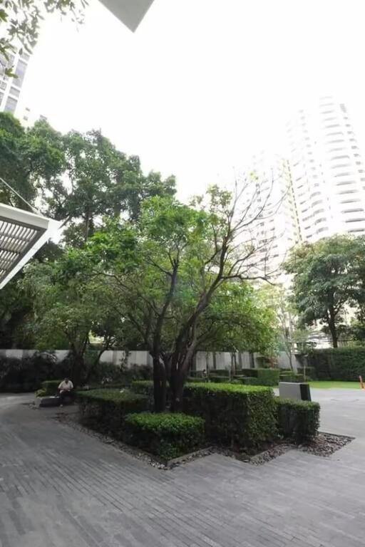 Condo for Rent at 39 by Sansiri