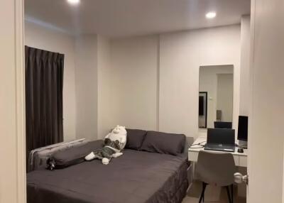 1 Bedroom Condo