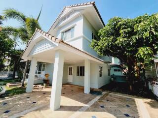 House for Rent, Sale in Nong Chom, San Sai.