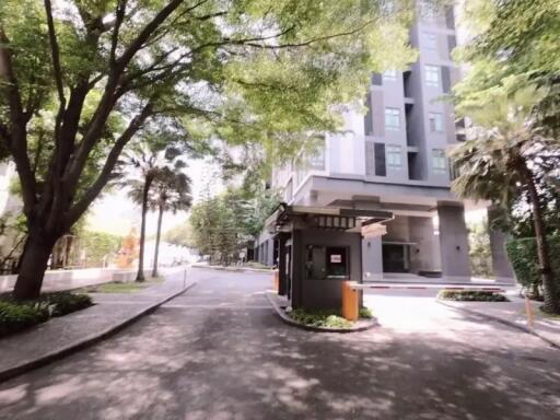 Ideo Blucove Sukhumvit  - 1 Bed Condo for Rent, Rented *IDEO3134