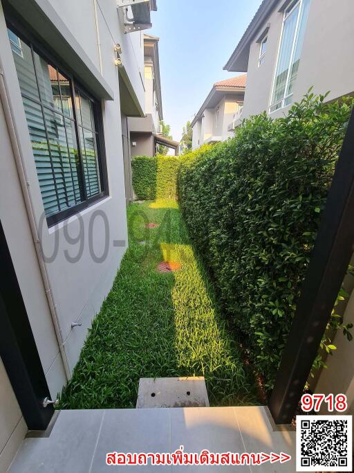 Narrow landscaped side yard with green grass and trimmed hedge