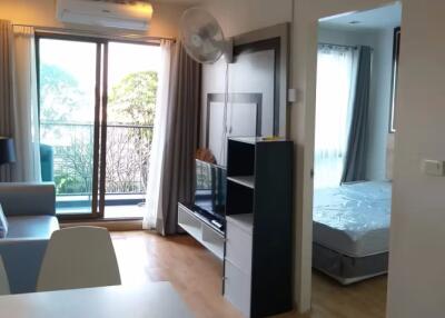 1 Bedroom Condo