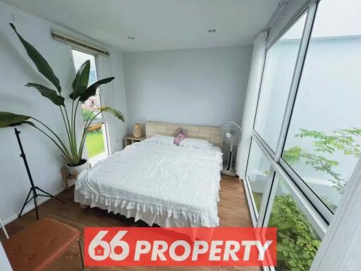 House for Rent, Sale in Suthep, Mueang Chiang Mai.