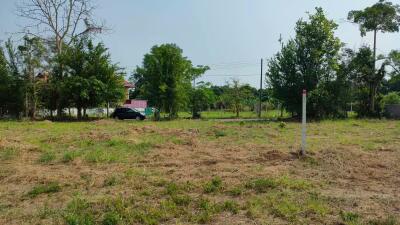 Land for Sale in Ban Waen, Hang Dong