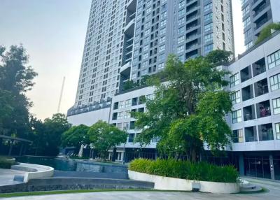 1 Bedroom Condo for Rent at IDEO O2 Bangna