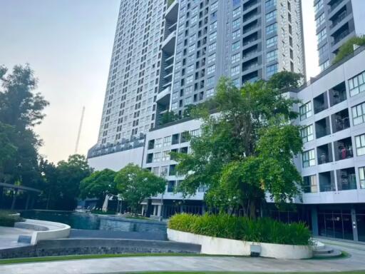 1 Bedroom Condo for Rent at IDEO O2 Bangna
