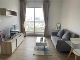 1 Bedroom Condo