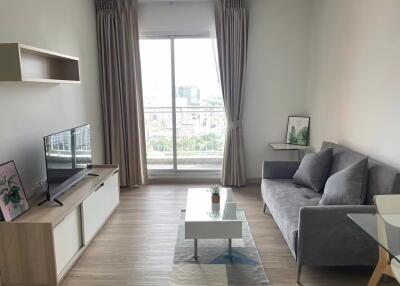 1 Bedroom Condo