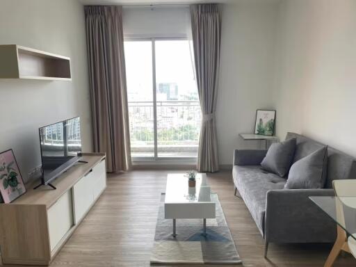 1 Bedroom Condo