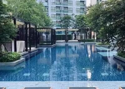 Condo for Rented at The Excel Hideaway Sukhumvit 50