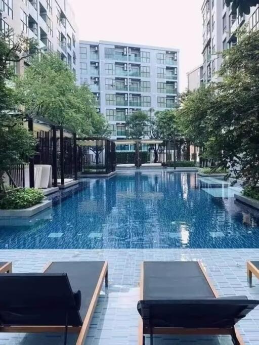 Condo for Rented at The Excel Hideaway Sukhumvit 50