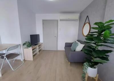 1 Bedroom Condo