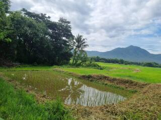 Land for Sale in Mae On