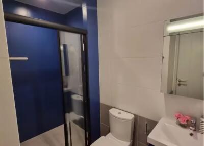 Condo for Rent at XT Ekkamai