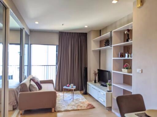 1 Bedroom Condo